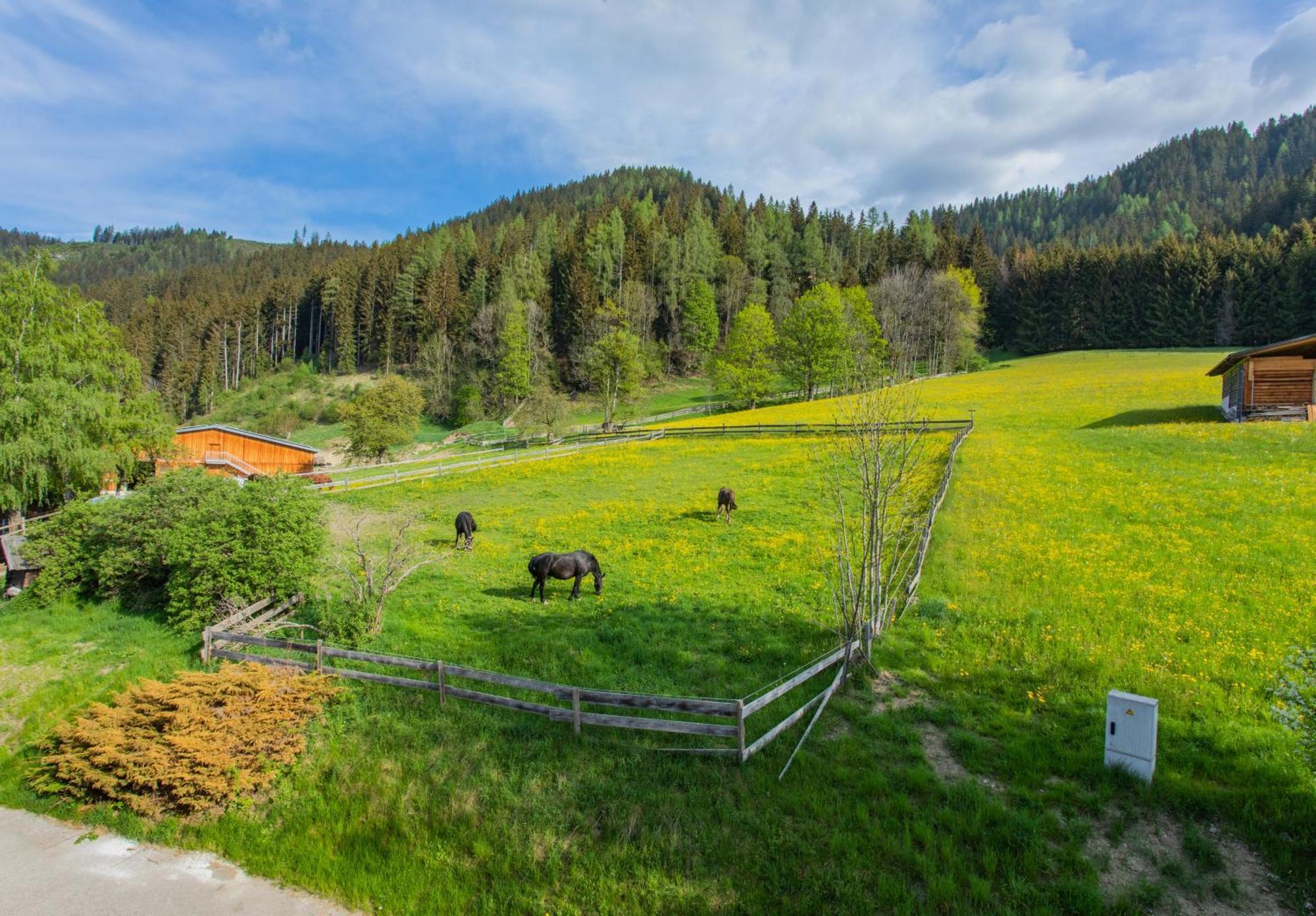 Huberhof 8 By Alpenidyll Apartments Schladming Dış mekan fotoğraf